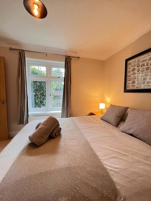 Space And Comfort In Summertown オックスフォード エクステリア 写真